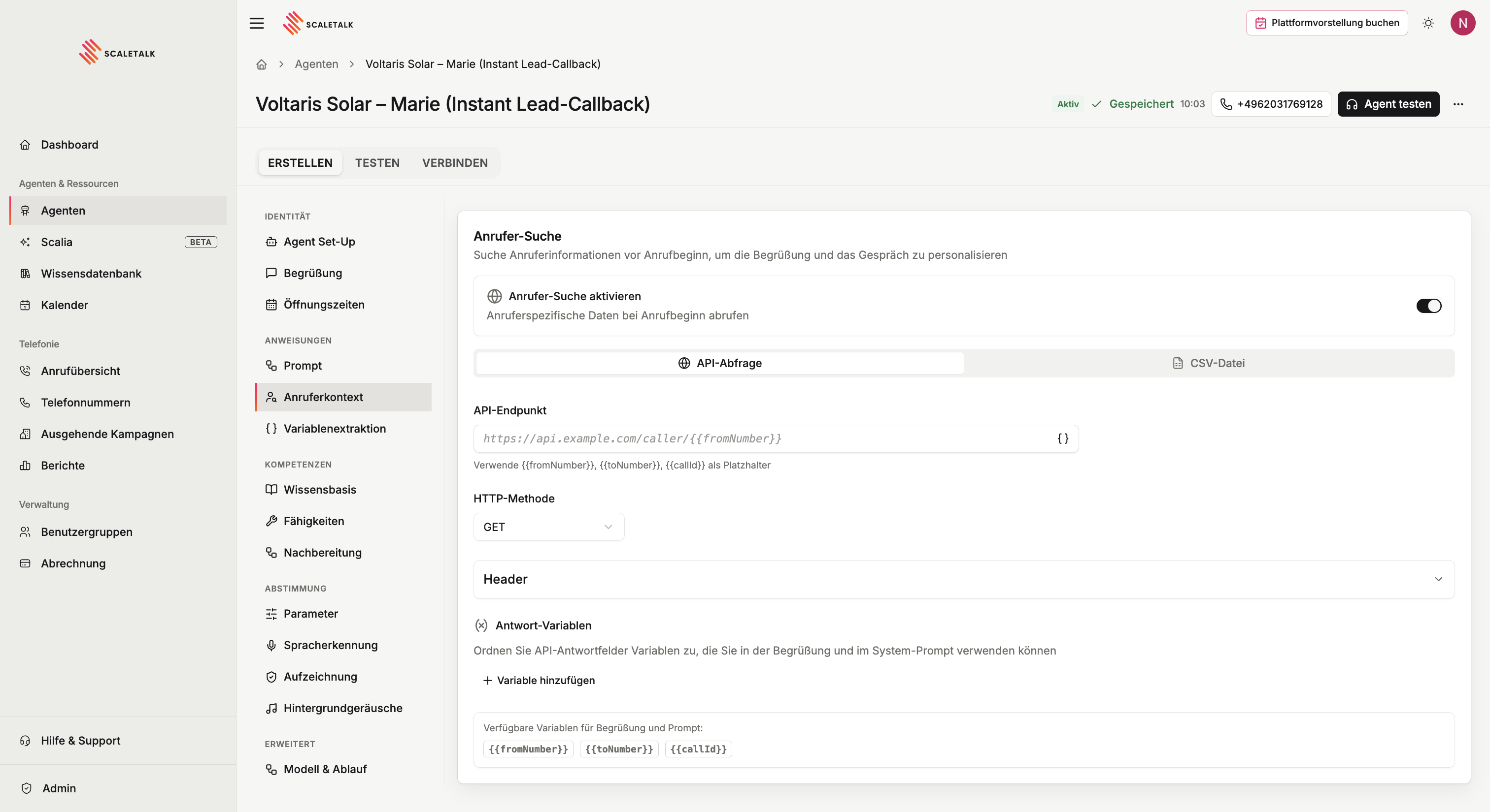 Die Karte Anrufer-Suche mit den beiden Reitern API-Abfrage und CSV-Datei