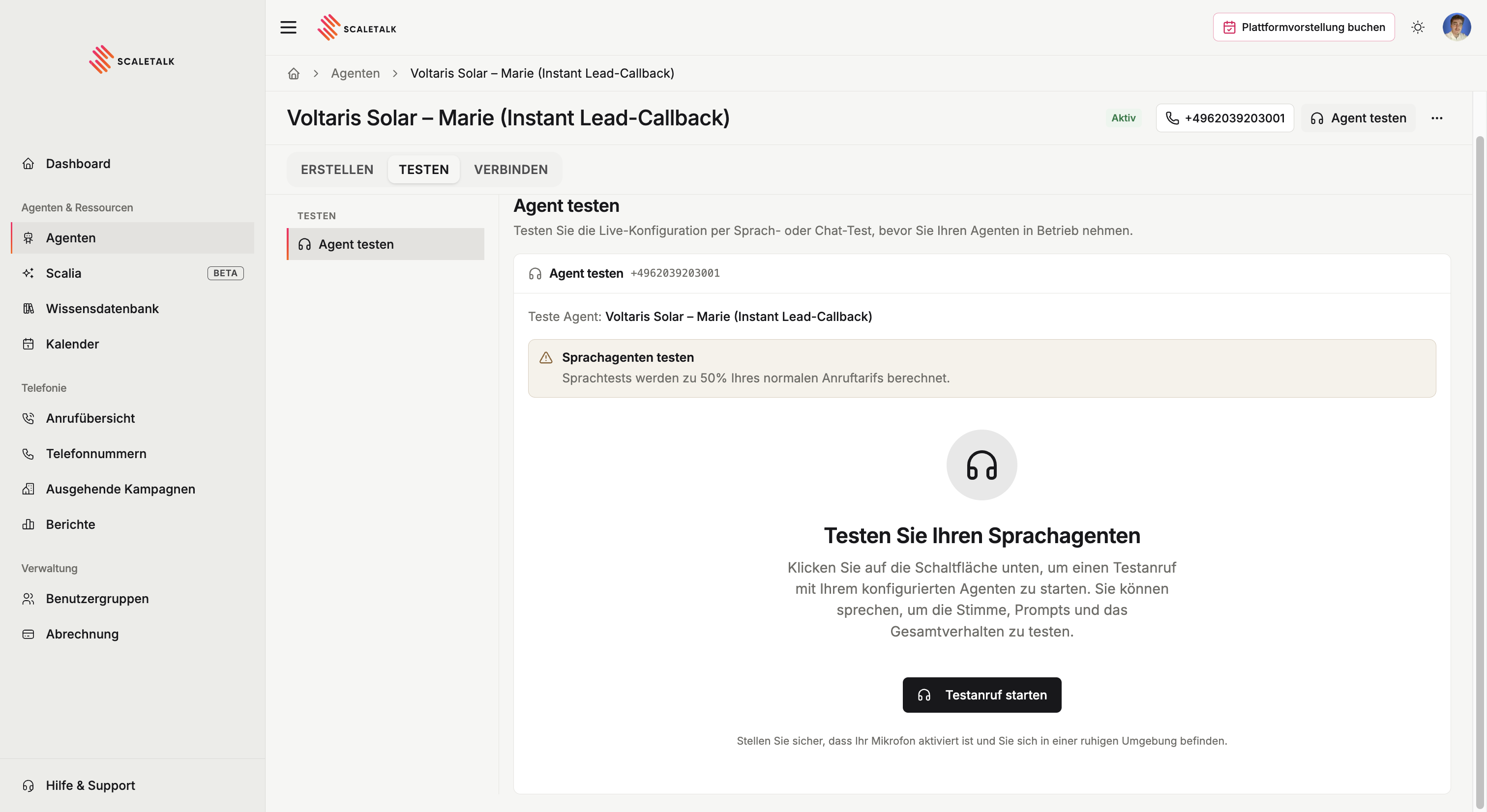 Der Reiter Testen mit dem Browser-Testgespräch